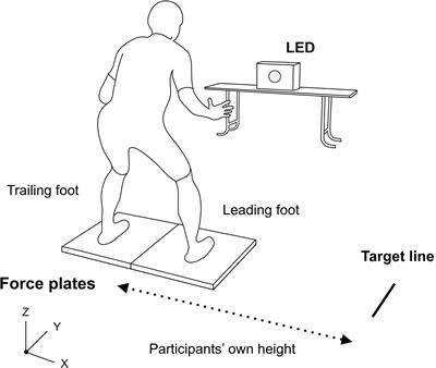 Difference Between Intentional and Reactive Movement in Side-Steps: Patterns of Temporal Structure and Force Exertion